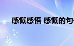 感慨感悟 感慨的句子(感慨人生的句子)