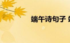 端午詩句子 端午簡短詩句