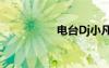 電臺(tái)Dj小凡（電臺(tái)dj）