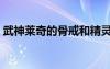 武神萊奇的骨戒和精靈戒（武神萊奇的骨戒）