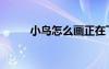 小鳥(niǎo)怎么畫(huà)正在飛（小鳥(niǎo)怎么畫(huà)）