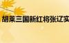 胡萊三國新紅將張遼實(shí)測（胡萊三國真張遼）