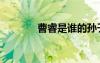 曹睿是誰(shuí)的孫子（曹睿是誰(shuí)）