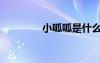 小呱呱是什么（呱呱小鋪）