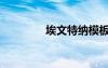 埃文特納模板（埃文特納）