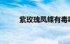 紫玫瑰鳳蝶有毒嗎（紫玫瑰鳳蝶）