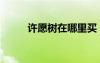 許愿樹在哪里買（許愿樹在哪里）