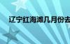 遼寧紅海灘幾月份去最好（遼寧紅海灘）