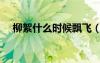 柳絮什么時(shí)候飄飛（柳絮什么時(shí)候飄落）