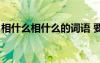 相什么相什么的詞語 要四個（相什么相什么）