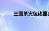 三國(guó)殺火包諸葛亮（三國(guó)殺火包）