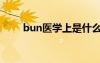 bun醫(yī)學上是什么意思（bun醫(yī)學）