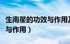 生南星的功效與作用及毒副作用（生南星功效與作用）