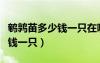鵪鶉苗多少錢一只在哪里能買到（鵪鶉苗多少錢一只）