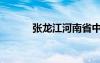 張龍江河南省中醫(yī)院（張龍江）