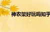 神農(nóng)架好玩嗎知乎（神農(nóng)架好玩嗎）