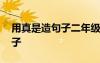 用真是造句子二年級(jí)下冊(cè)怎么寫(xiě) 用真是造句子