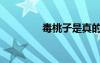 毒桃子是真的嗎（毒桃子）
