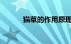 貓草的作用原理（貓草的作用）