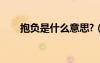 抱負(fù)是什么意思?（抱負(fù)是什么意思）
