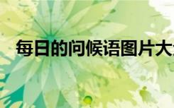 每日的問(wèn)候語(yǔ)圖片大全合集 每日的問(wèn)候語(yǔ)