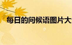 每日的問候語圖片大全合集 每日的問候語
