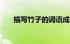 描寫竹子的詞語成語 描寫竹子的詞語