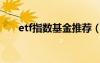etf指數(shù)基金推薦（etf指數(shù)基金排名）
