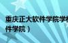 重慶正大軟件學院學校網頁制作（重慶正大軟件學院）