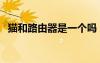 貓和路由器是一個嗎（貓和路由器一樣嗎）