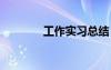 工作實習總結(jié) 校內(nèi)實習總結(jié)