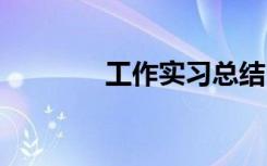 工作實(shí)習(xí)總結(jié) 校內(nèi)實(shí)習(xí)總結(jié)