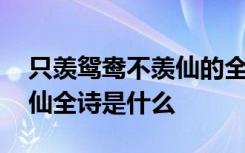 只羨鴛鴦不羨仙的全詩是什么 只羨鴛鴦不羨仙全詩是什么