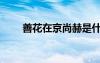 善花在京尚赫是什么電視?。ㄉ苹ǎ?/></a>
				</div>
				<div   id=