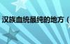 漢族血統(tǒng)最純的地方（漢族血統(tǒng)最純的姓氏）