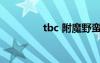 tbc 附魔野蠻（野心附魔）