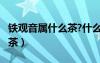 鐵觀音屬什么茶?什么季節(jié)喝?（鐵觀音屬什么茶）