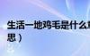 生活一地雞毛是什么意思（一地雞毛是什么意思）