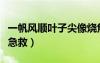 一帆風順葉子尖像燒焦了（一帆風順葉子下垂急救）