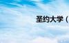 圣約大學(xué)（圣南大學(xué)）