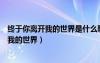 終于你離開我的世界是什么歌歌詞是什么意思（終于你離開我的世界）