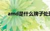 amd是什么牌子處理器（amd是什么）