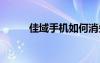 佳域手機(jī)如何消失的（佳域g2s）