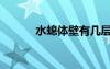 水螅體壁有幾層細胞（水螅體）