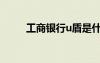 工商銀行u盾是什么（u盾是什么）
