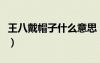 王八戴帽子什么意思（王八老公喜歡戴綠帽子）