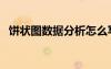 餅狀圖數(shù)據(jù)分析怎么寫(xiě)（餅狀圖數(shù)據(jù)分析）