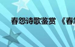 春怨詩歌鑒賞 《春怨》古詩原文及鑒賞