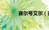 賽爾號艾爾（賽爾號埃爾夫）