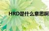 HRD是什么意思?。╤rd是什么意思）